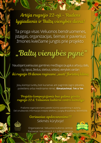 Floristinių kilimų projektas „Baltų vienybės pynė“