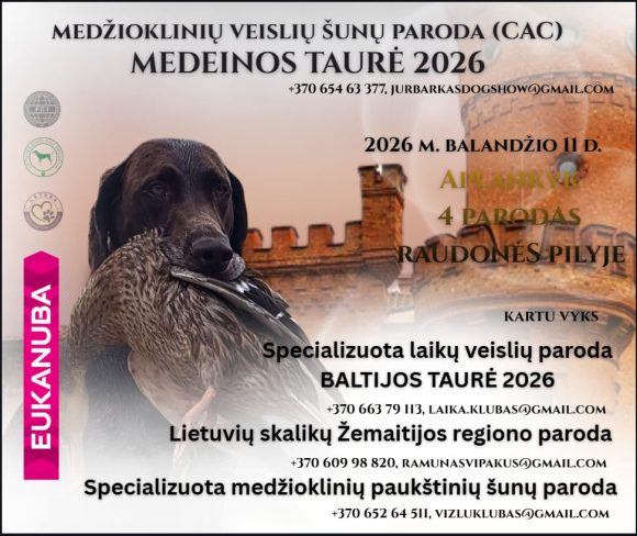 Medeinos taurė 2026