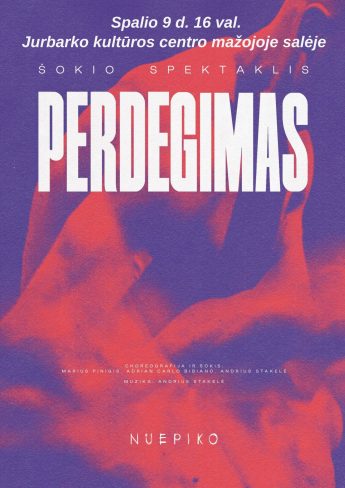 Šokio spektaklis „Perdegimas“ (N-14)